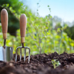 6 Budget Friendly Ways To Improve Your Garden