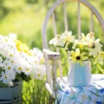 Cheap Gardening Tips and Tricks