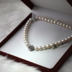 Protecting Your Jewelry and Other Expensive Belongings With Your Home Insurance Policy