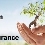 Term Life Insurance- An Astute Option