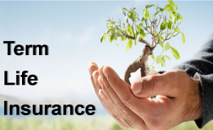 Term Life Insurance