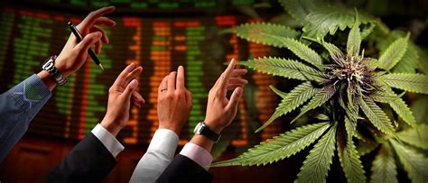 Marijuana Stocks