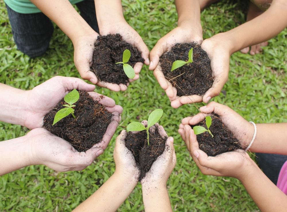 Community Garden