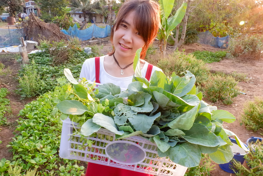 Community Garden