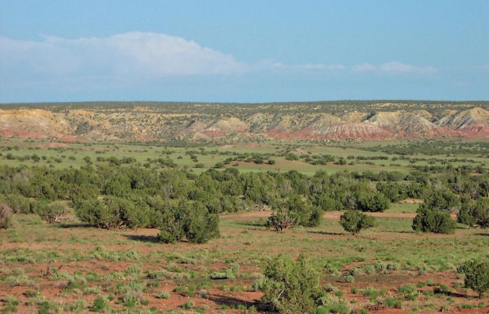 Land in Arizona