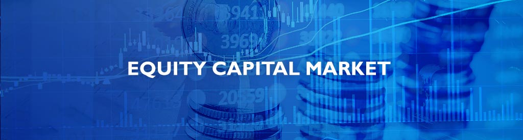 Equity Capital Market