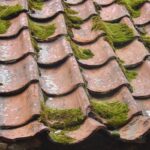 Signs That Your Roof Is Past Its Expiration Date